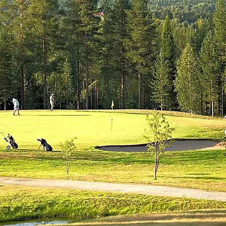 Original Sokos Vaakuna